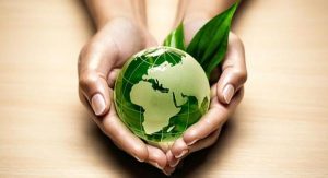 la ecología y medio ambiente