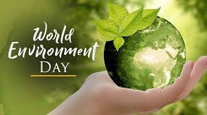 Environment Day: Frases sobre el día mundial del medio ambiente - ingles