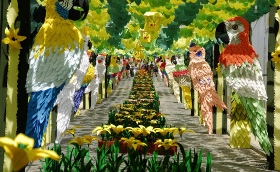 la fiesta de las flores