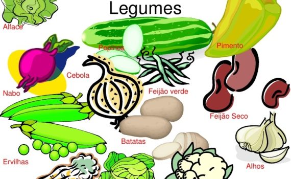 alimentos en portugués