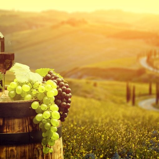 vino en Italia