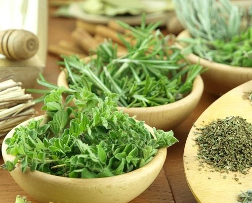 botánica en portugués