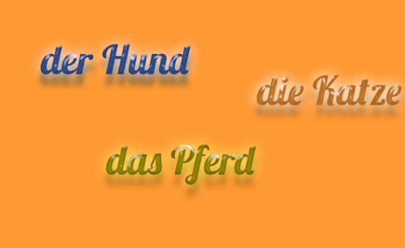 el género de las palabras