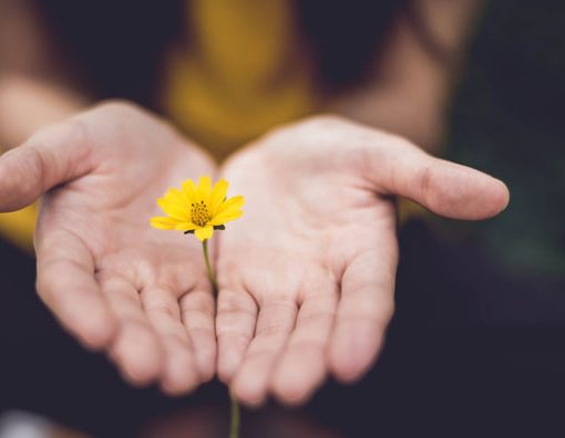 disculpas en alemán