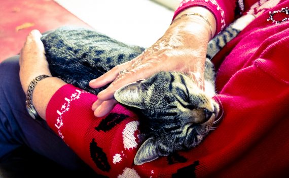 Las palabras en italiano