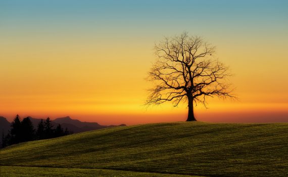 proverbios italianos