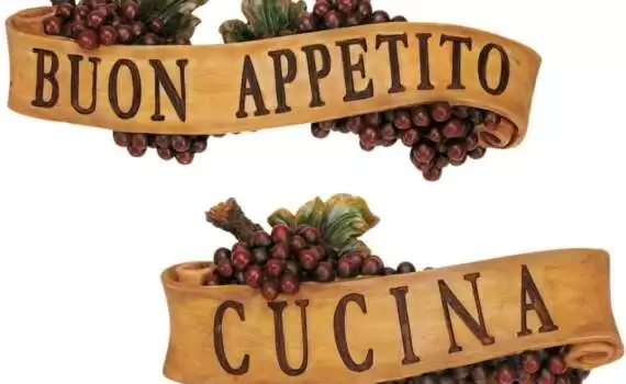 Vocabulario y expresiones