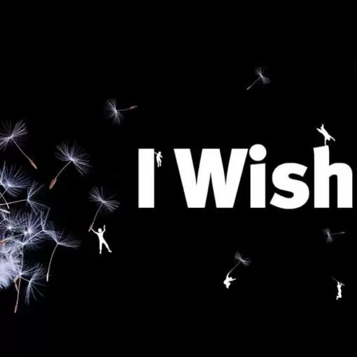 las wish clauses