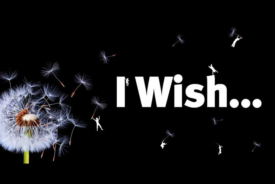 las wish clauses