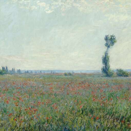 Personajes franceses